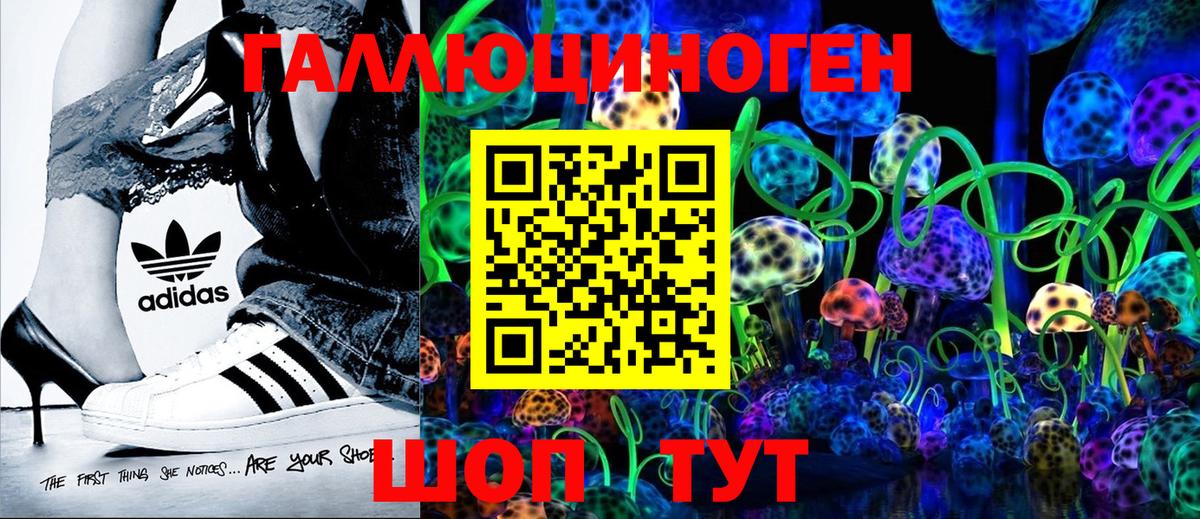 Галлюциногенные грибы Psilocybe Лыткарино